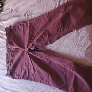 Torrid ankle length pants